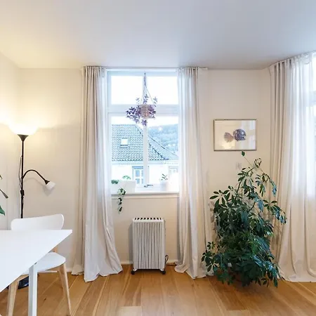 Unique Relaxed Corner Flat In Central Bergen * Bergen