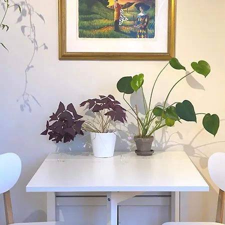 Unique Relaxed Corner Flat In