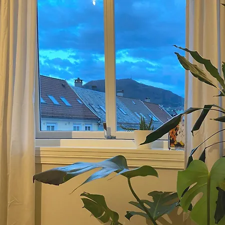 Apartment Unique Relaxed Corner Flat In Central Bergen