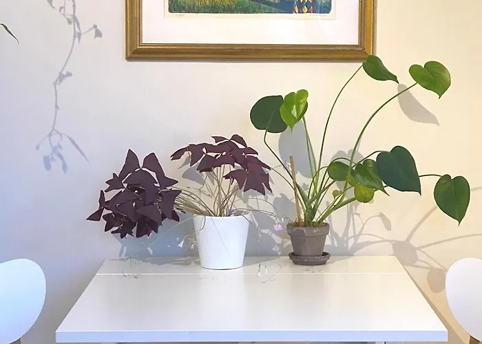 Unique Relaxed Corner Flat In